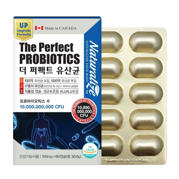 ���߷������� �� ����Ʈ ����� 60ĸ��