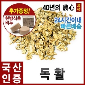 자애인 독활/땅두릅뿌리/건독활/독활차/국산 전북임실