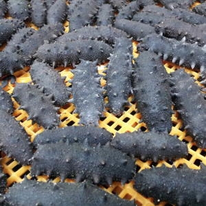 ����ǻ�� �ž� ���ػ� 200g