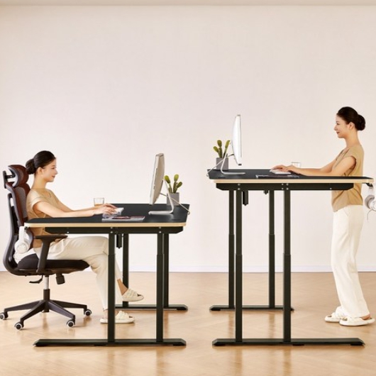 �ƿ콺 GE03 �ڳ��� ������ ������ ��� ���ĵ� å��