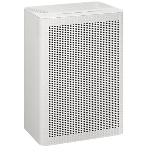 삼성전자 블루스카이 3100 AP70F03102RVD (2개)_이미지