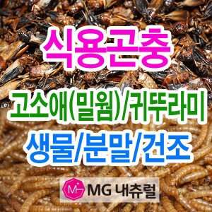 식용곤충 고소애건조/가루 귀뚜라미건조