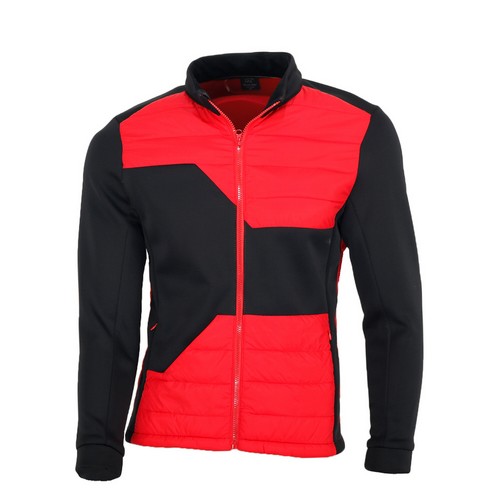  마스터베어 배색 블루종 패딩 점퍼 COMP6012