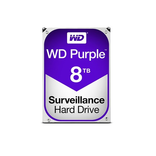 Western Digital WD Purple 5400/256M