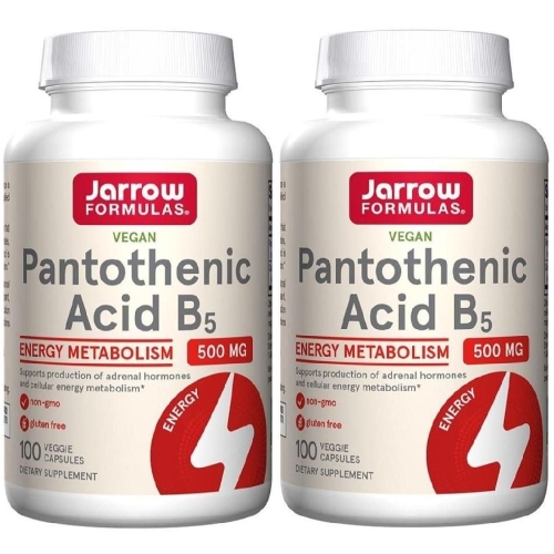 �ڷο����ķ��� �����׻� B5 500mg 100ĸ��