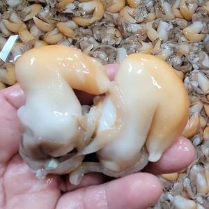 �庸�� ��������� 200g