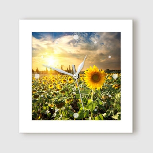 �ٹ� it348-�����عٶ��̴Ͼ��ں��ð�