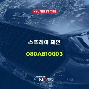 스프레이 체인 080A810003
