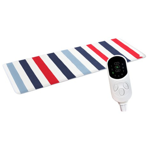 비아이 플로라 12V 캠핑용 전기장판