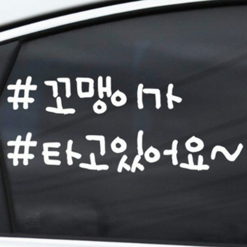 카티커  해시태그 꼬맹이가 타고있어요 스티커