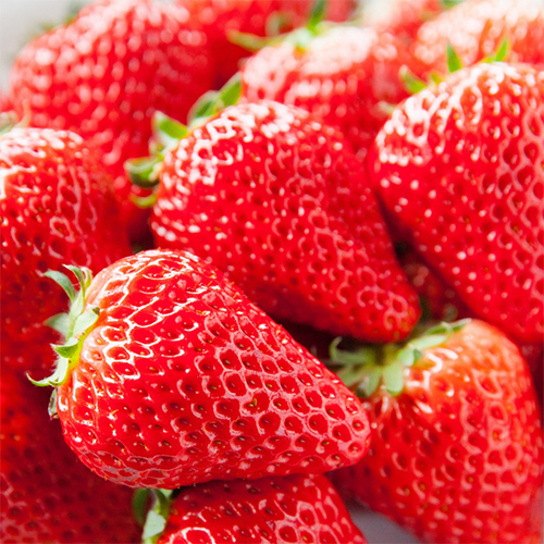 밀양 얼음골 딸기 소과 1kg