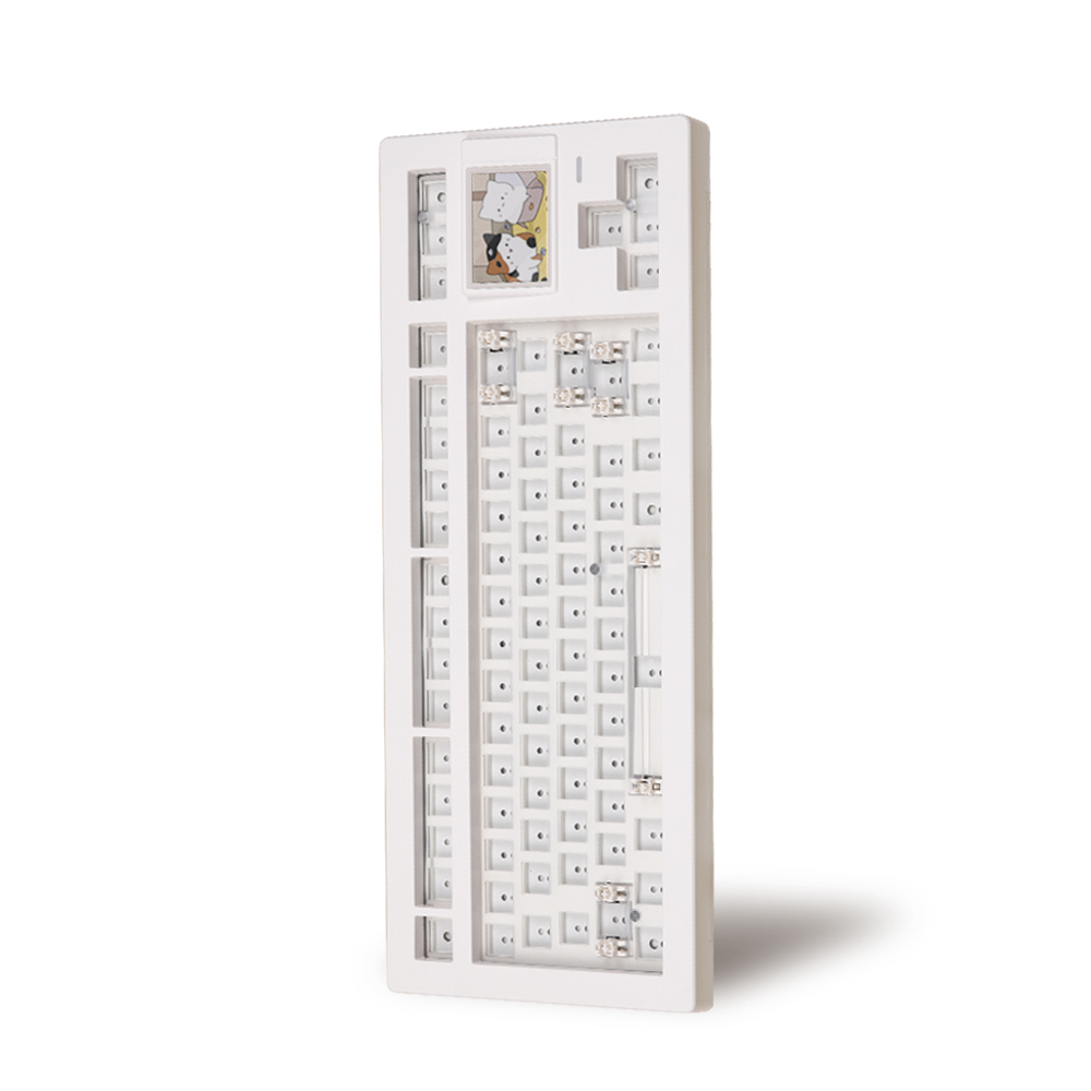 ��Ÿ ���� ��Ĺ8 ������ ���� ���