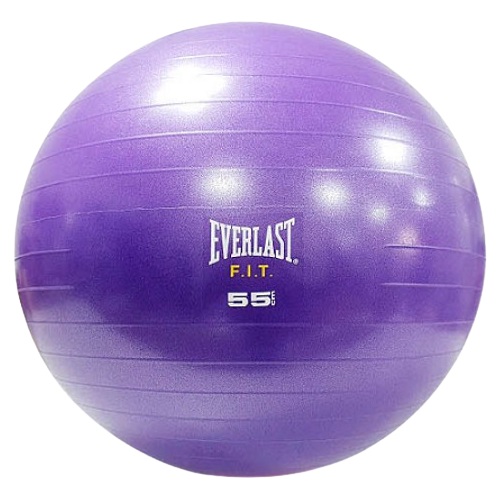 에버라스트 파워코어 짐볼 (55CM)_이미지