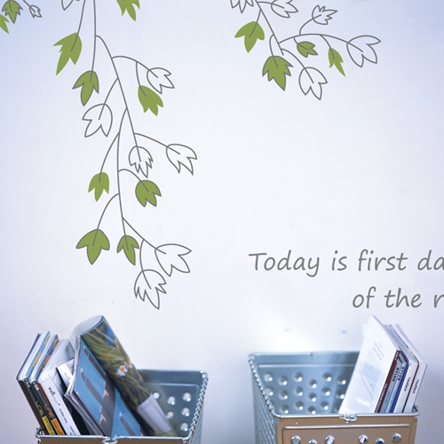 브라운 카멜 담쟁이넝쿨