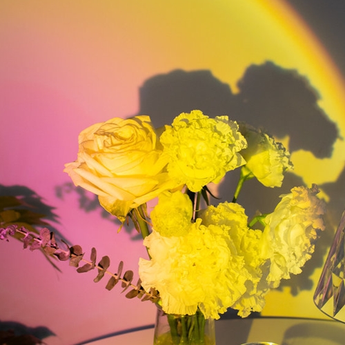 ���γ� Ļ�� LED ���޶�Ű ���� �����