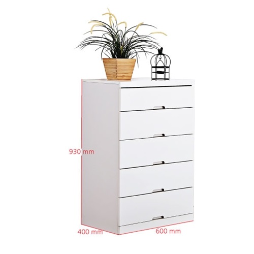 Apex �ȳ� 5�� ������ 600