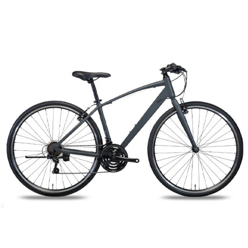 ���潺���� ž�� (2025����)