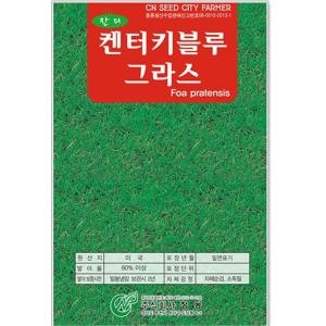 영농사 잔디씨앗 켄터키블루그라스 잔디 양잔디 잔디씨 씨앗
