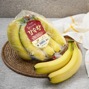 �����ķ� ������ �ٳ��� 1.5kg����