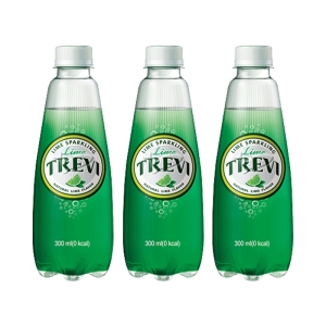 롯데칠성음료 트레비 라임 300ml (30개)_이미지