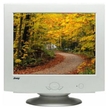 IMRI Accuvision 920FP_이미지