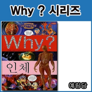������ WHY ������   ? ���� ��ü  +