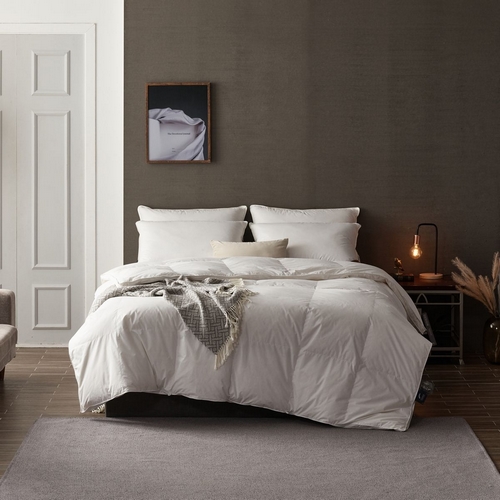 ��ȫ��Ȩ�м� ��ö� 100�� �ٿ������� �밡�� ���� �̺Ҽ�