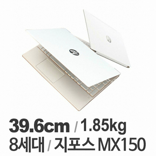 HP 파빌리온 15-cs1047TX (SSD 256GB)_이미지