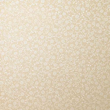 ���Ͼ� FR-N202FVL