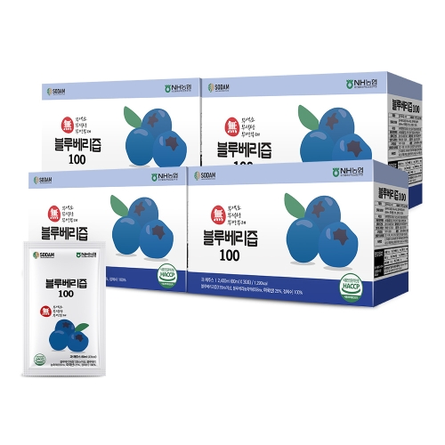 블루베리 100 80ml 4박스 총 120포
