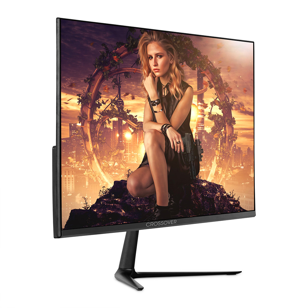 ũ�ν����� F24C33 TYPE-C FHD 75