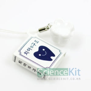 [불명] 치아모형목걸이/4인용/JS-41339