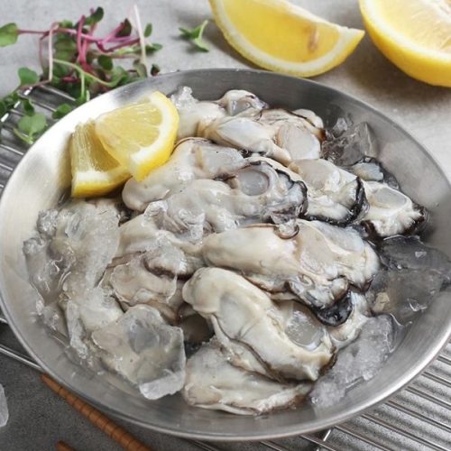 씨토랑 경남 통영 생굴 40마리내외 1kg