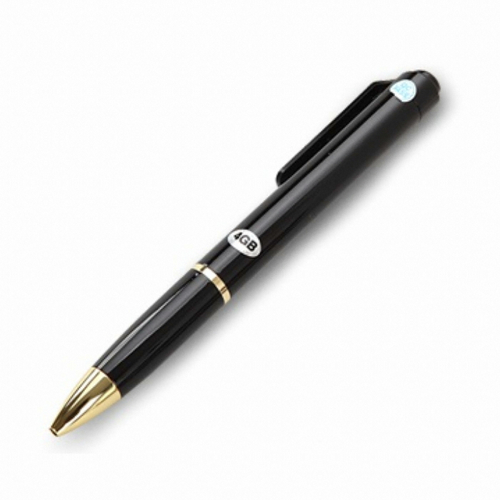 SAFA SP-100 (4GB)_이미지