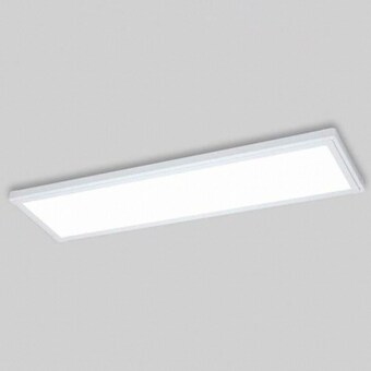 비츠온 LED 퓨쳐 엣지 평판등 주백색 40W