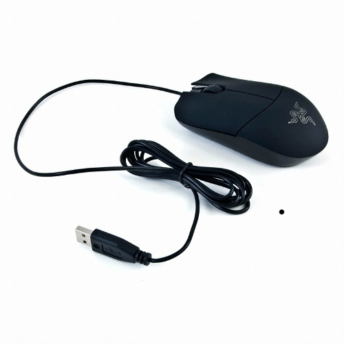 Razer Big Salmosa_이미지