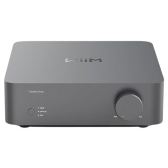 Wiim Vibelink AMP