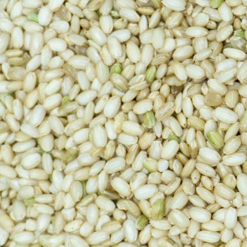 힘찬농부 국산 찰현미 찹쌀현미 현미찹쌀 1개 5KG