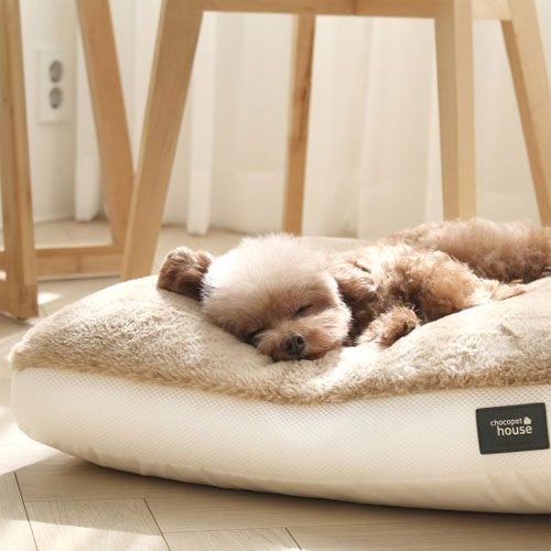 �������Ͽ콺 �Խ���� ���� �漮