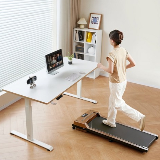 �ƿ콺 GE01 ������ ������ ��� ���ĵ� å��