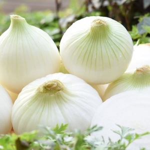 친환경팔도 간편한 무안 깐양파 대특 5kg