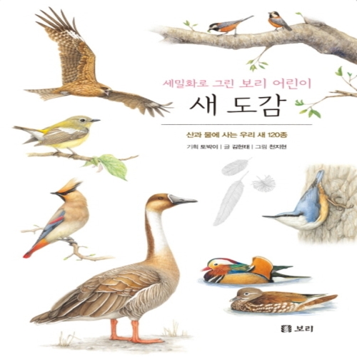 보리 세밀화로 그린 보리 어린이 도감 (보급판) (새)_이미지