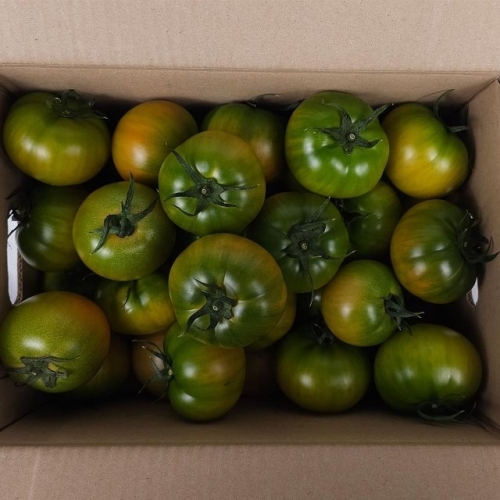  A테이블 국내산 일반 대저토마토 S-2S 소과 1.5kg [1개]