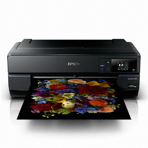 Epson SureColor SC-P800