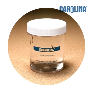 [�Ҹ�] ���н��̿�  �� ���� �������� �ö󳪸���