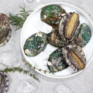 완도청정수산 구이용 활전복 1kg(25-30미)