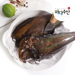 바다수산 작업한 싱싱한 자연산 키조개2마리