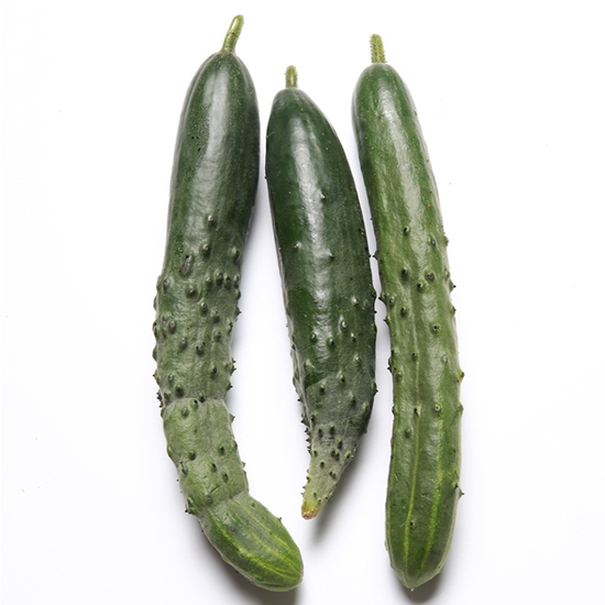 사라상회 취청오이 보통 10kg