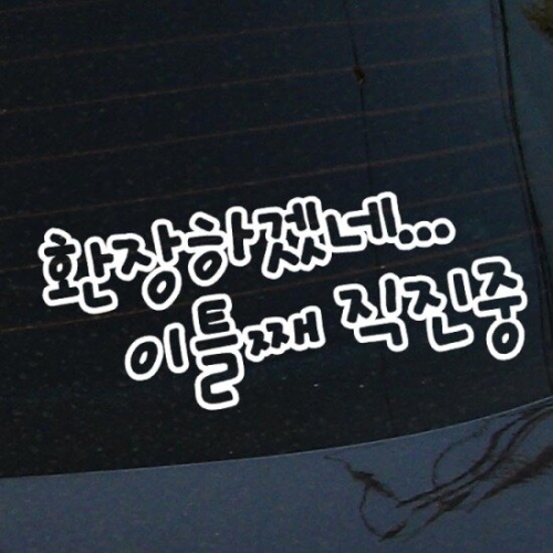 뭉키데코 초보운전:이틀째 직진중 (반사지)_이미지