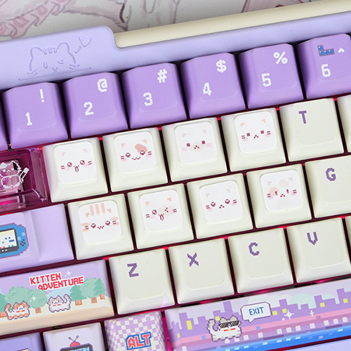 SPM Soulcat �������� ���콺 Ű���� �׸�������